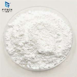 Hot Sale 4N Tellurium Dioxide Powder